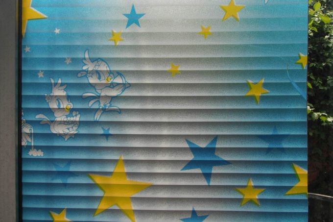 pvc frosted film for privacy